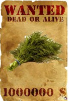 /album/fotogaleria/gmo-jpg/